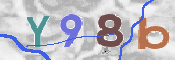 CAPTCHA irudia