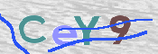 CAPTCHA irudia