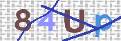 CAPTCHA irudia