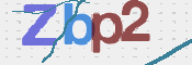 CAPTCHA irudia
