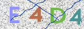 CAPTCHA irudia