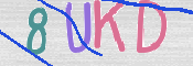 CAPTCHA irudia