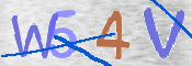 CAPTCHA irudia