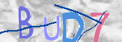 CAPTCHA irudia